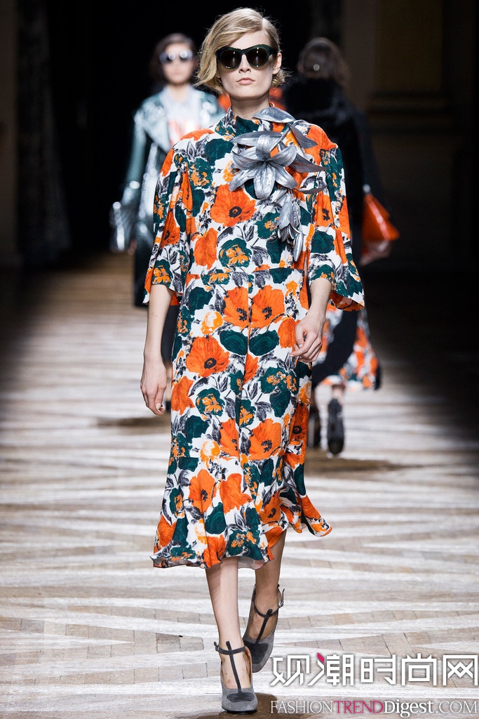 Dries Van Noten  2014ﶬ׶ʱװŮװ㳡ͼƬ