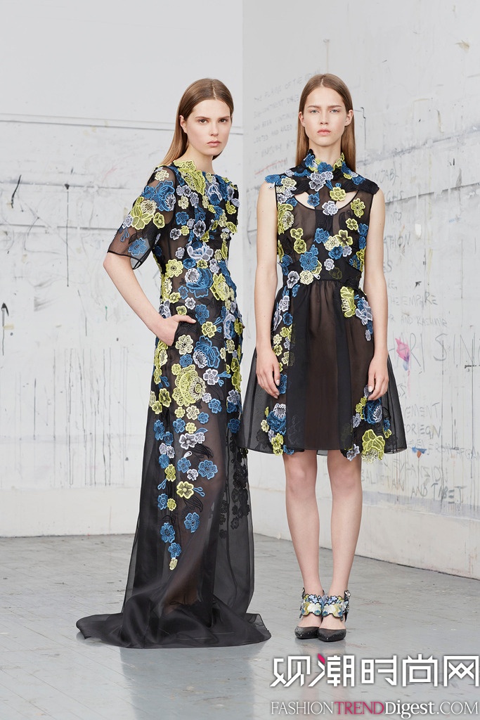 Erdem 2015紺ϵLookbookͼƬ