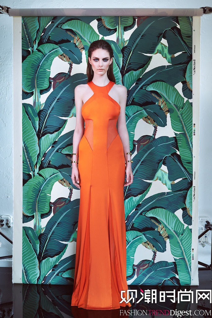 Cushnie et Ochs 2015紺ϵLookbookͼƬ