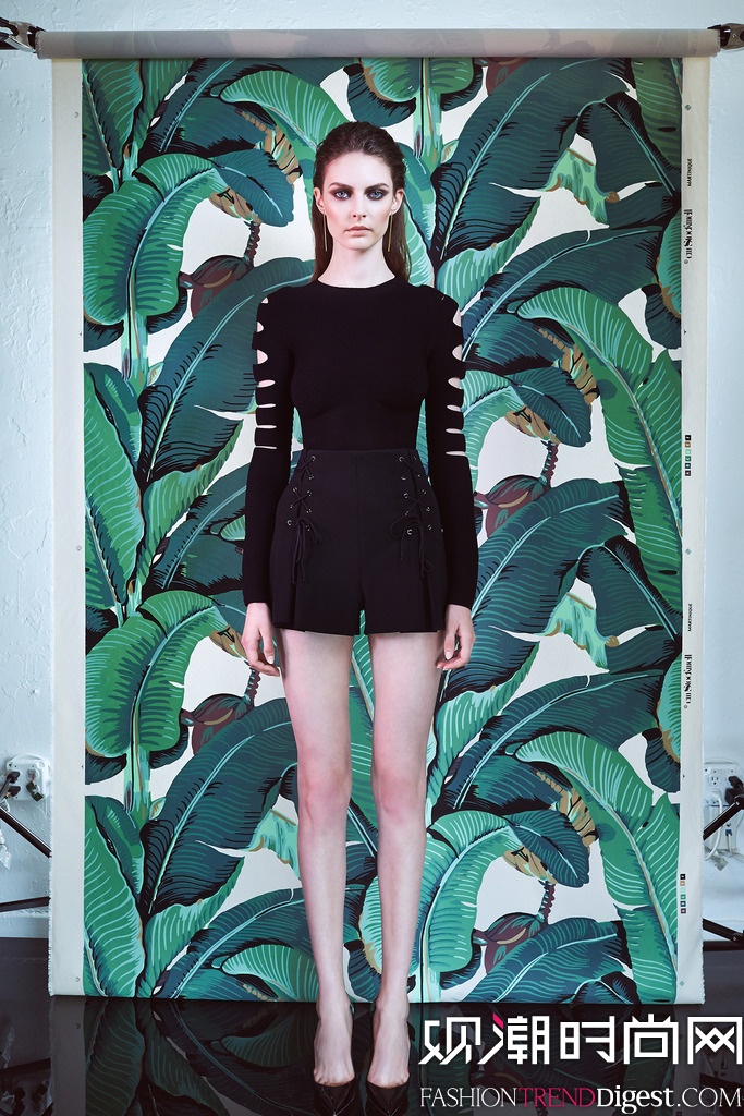 Cushnie et Ochs 2015紺ϵLookbookͼƬ