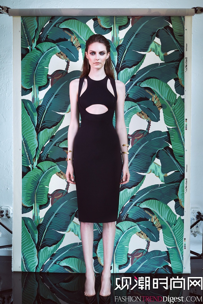 Cushnie et Ochs 2015紺ϵLookbookͼƬ