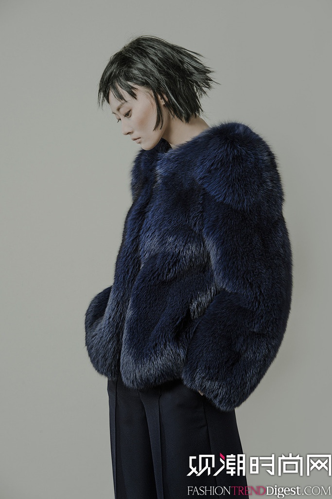 Co 2015~s紺ϵLOOKBOOKDƬ
