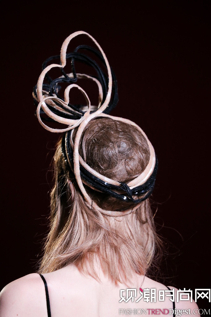 Schiaparelli 2014ﶬrbܸ߶DƬ