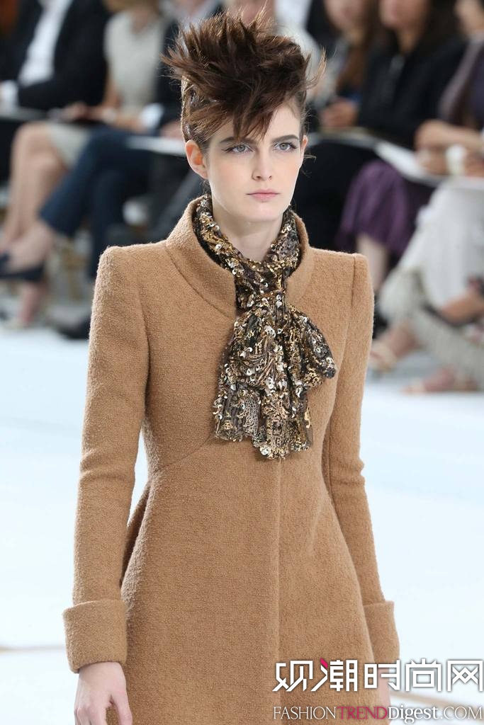 Chanel 2014ﶬʱװܸ߶㳡ͼƬ