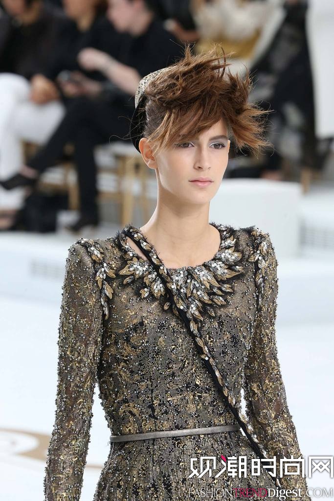 Chanel 2014ﶬʱװܸ߶㳡ͼƬ