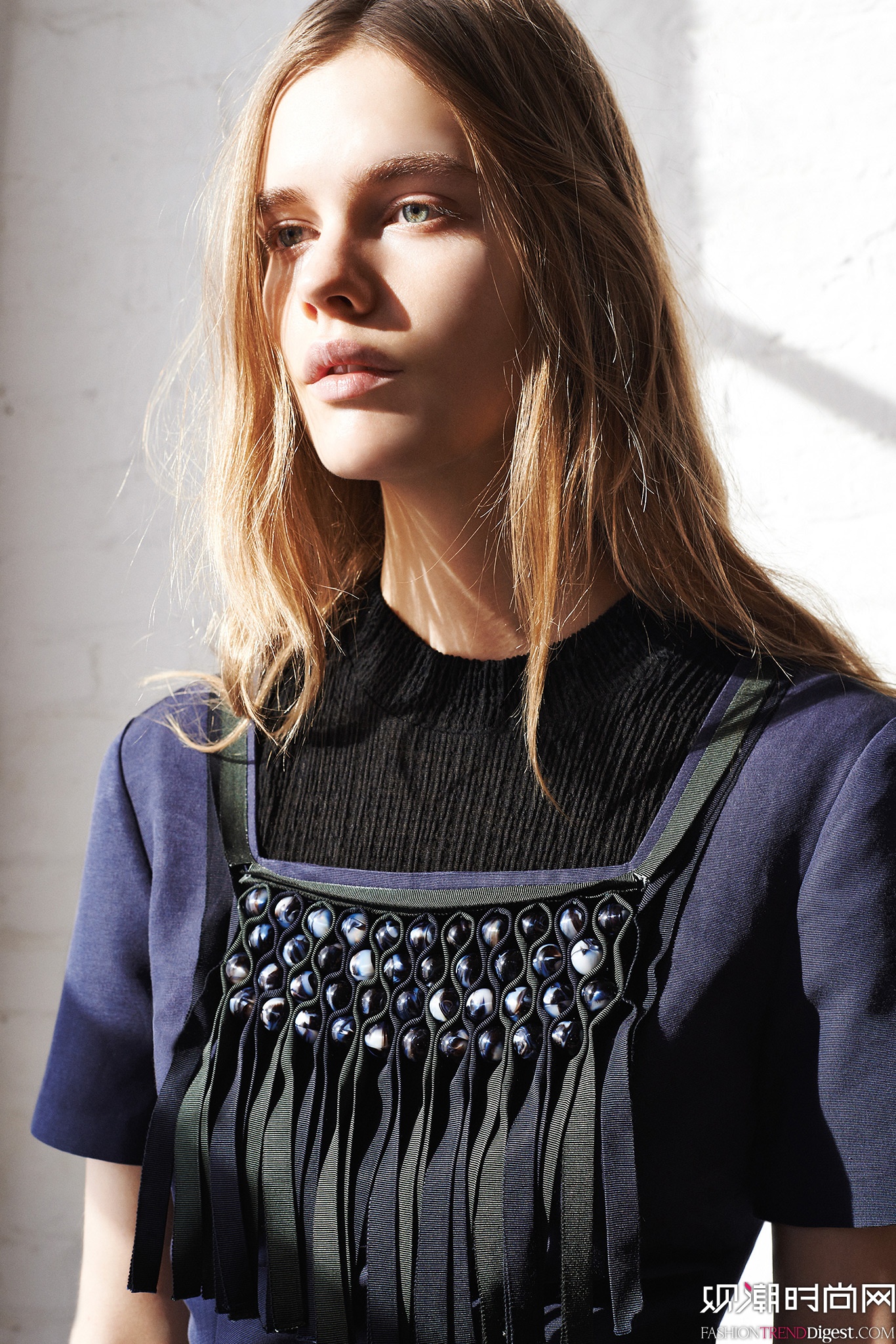 Suno 2015ϵиͼƬ