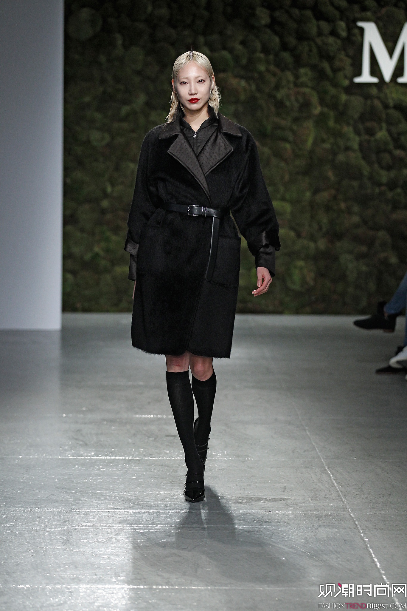 Max Mara 2015ϵиͼƬ