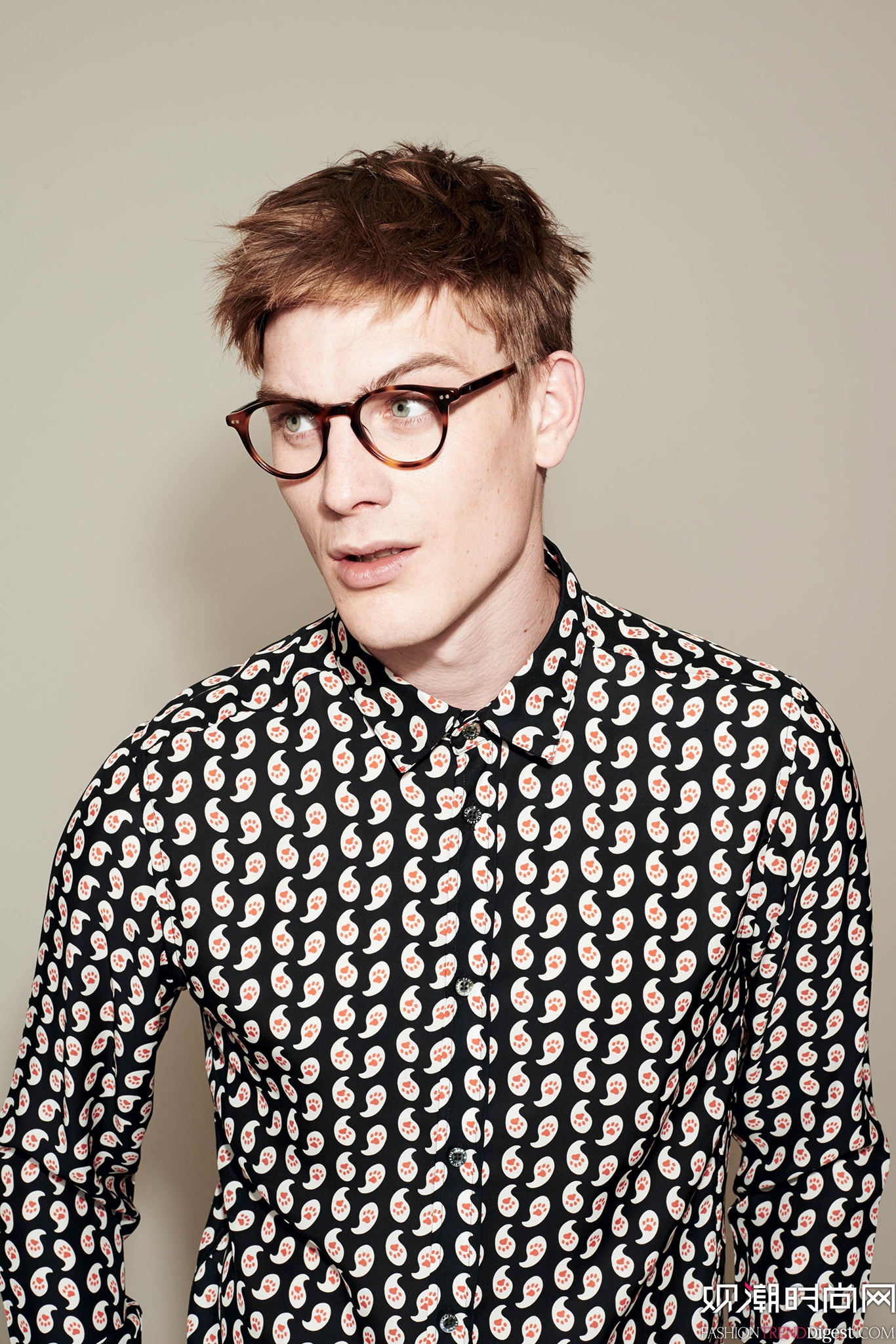 Paul & Joe 2015ﶬbϵиDƬ