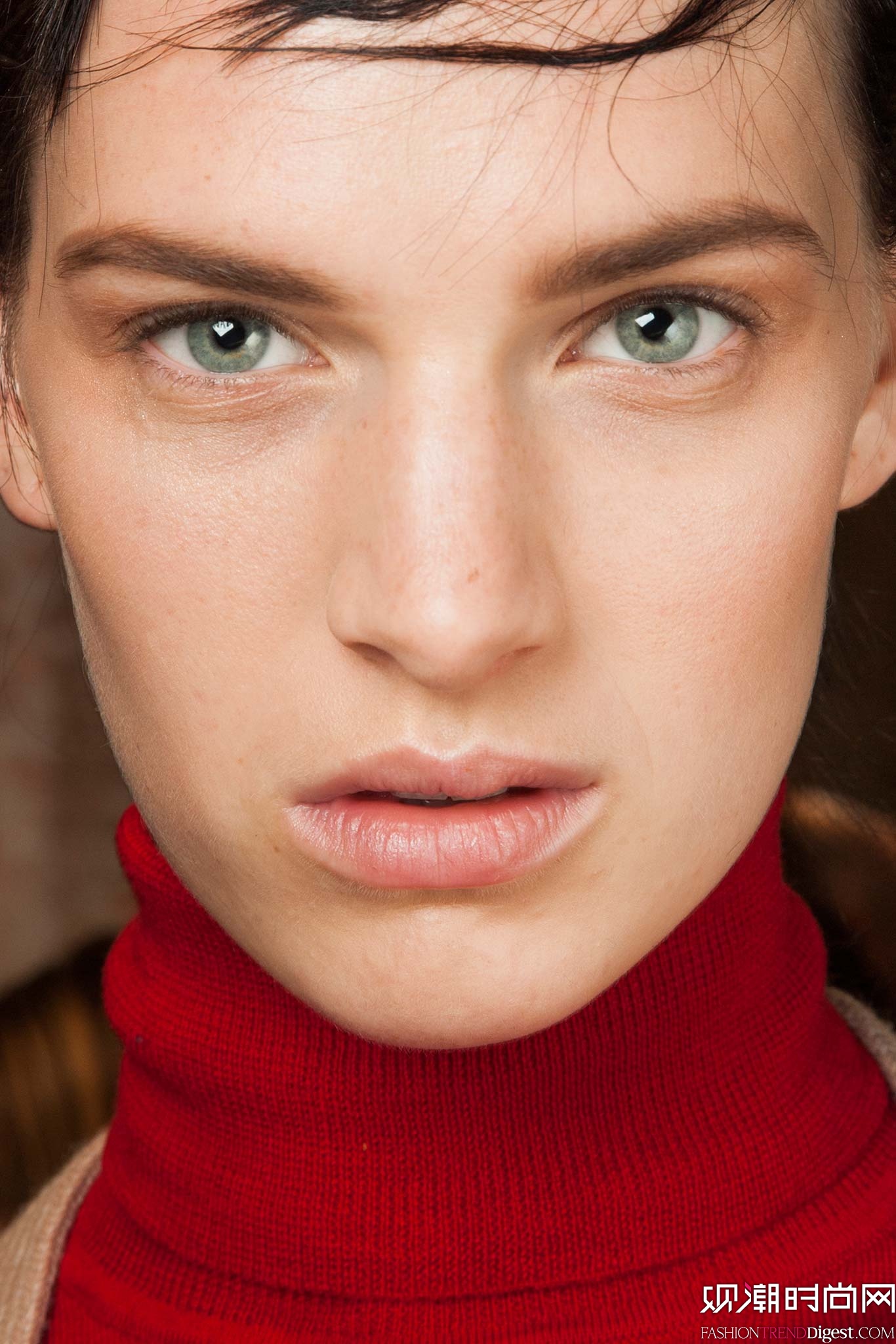 Vera Wang 2015�ﶬŮװϵ�и���ͼƬ