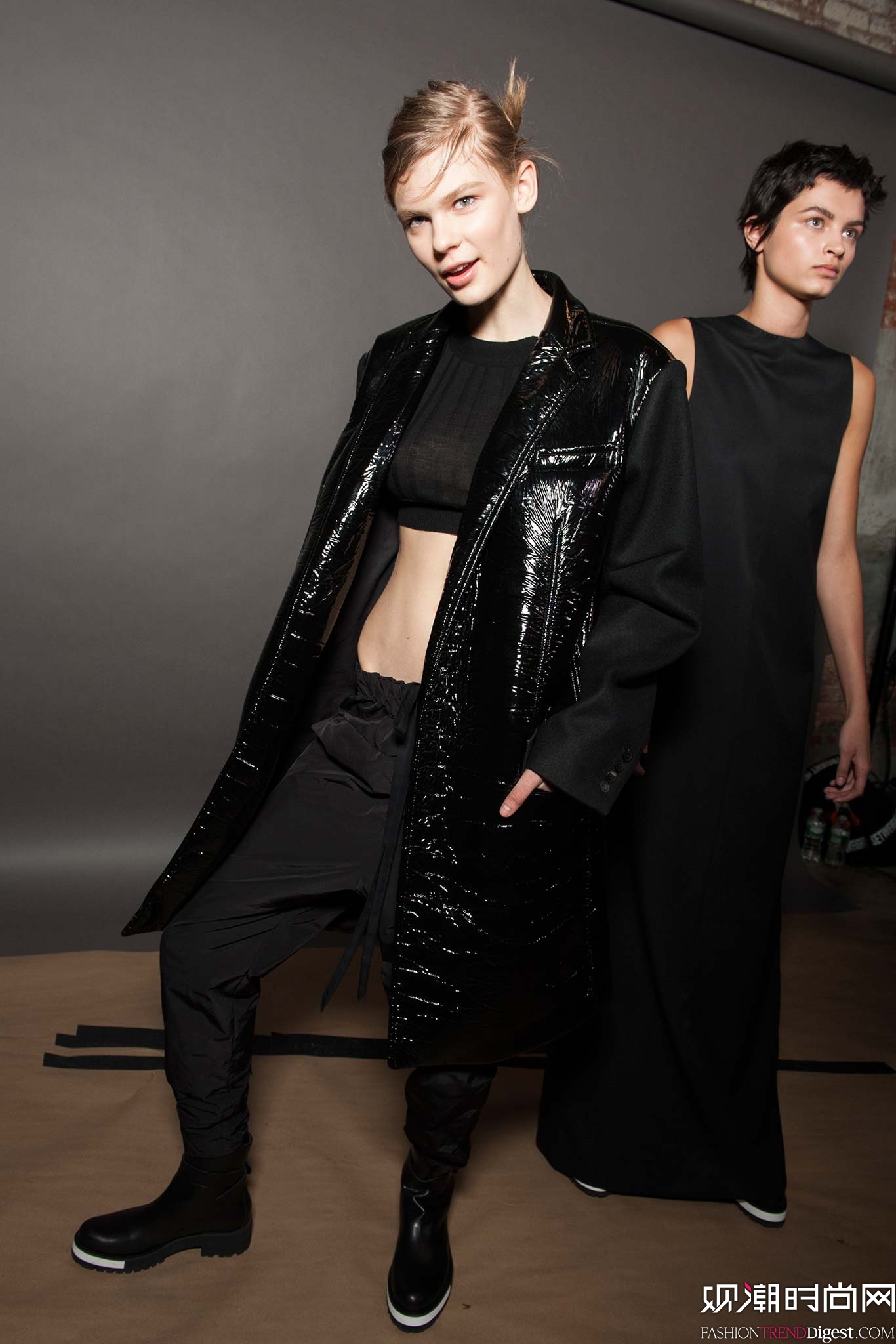 Vera Wang 2015�ﶬŮװϵ�и���ͼƬ