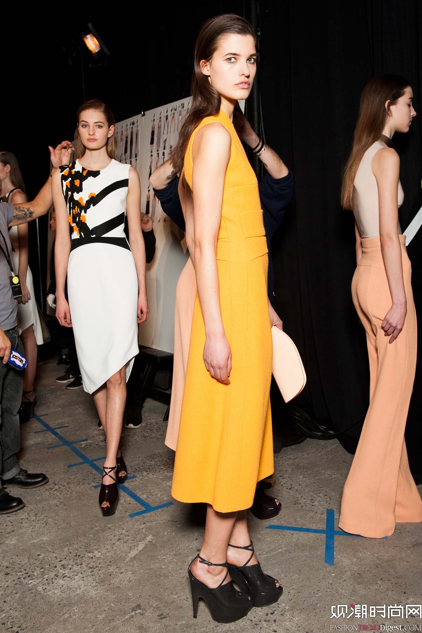 Narciso Rodriguez 2015ﶬŮװϵиͼƬ