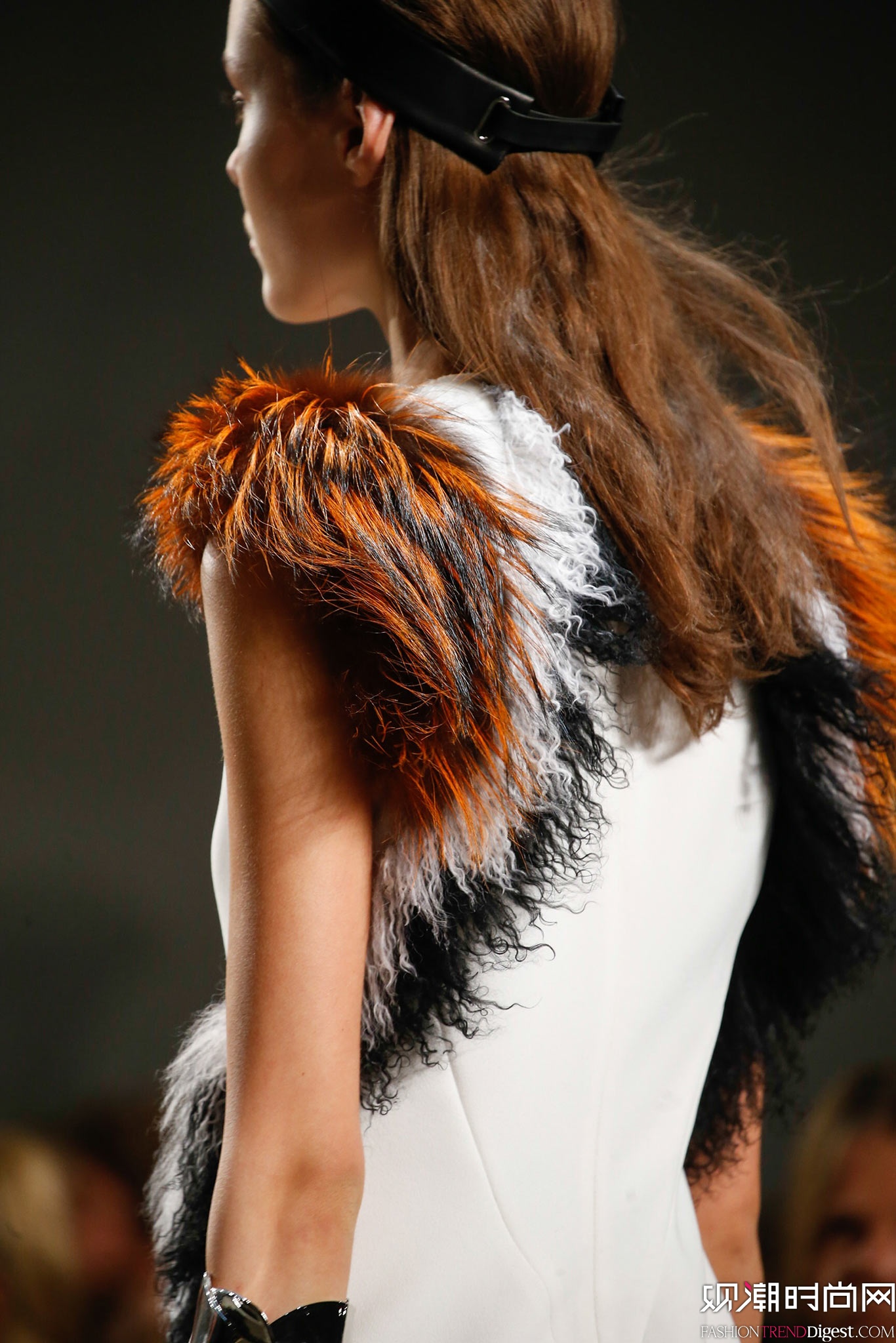 Proenza Schouler 2015ﶬŮװϵиͼƬ