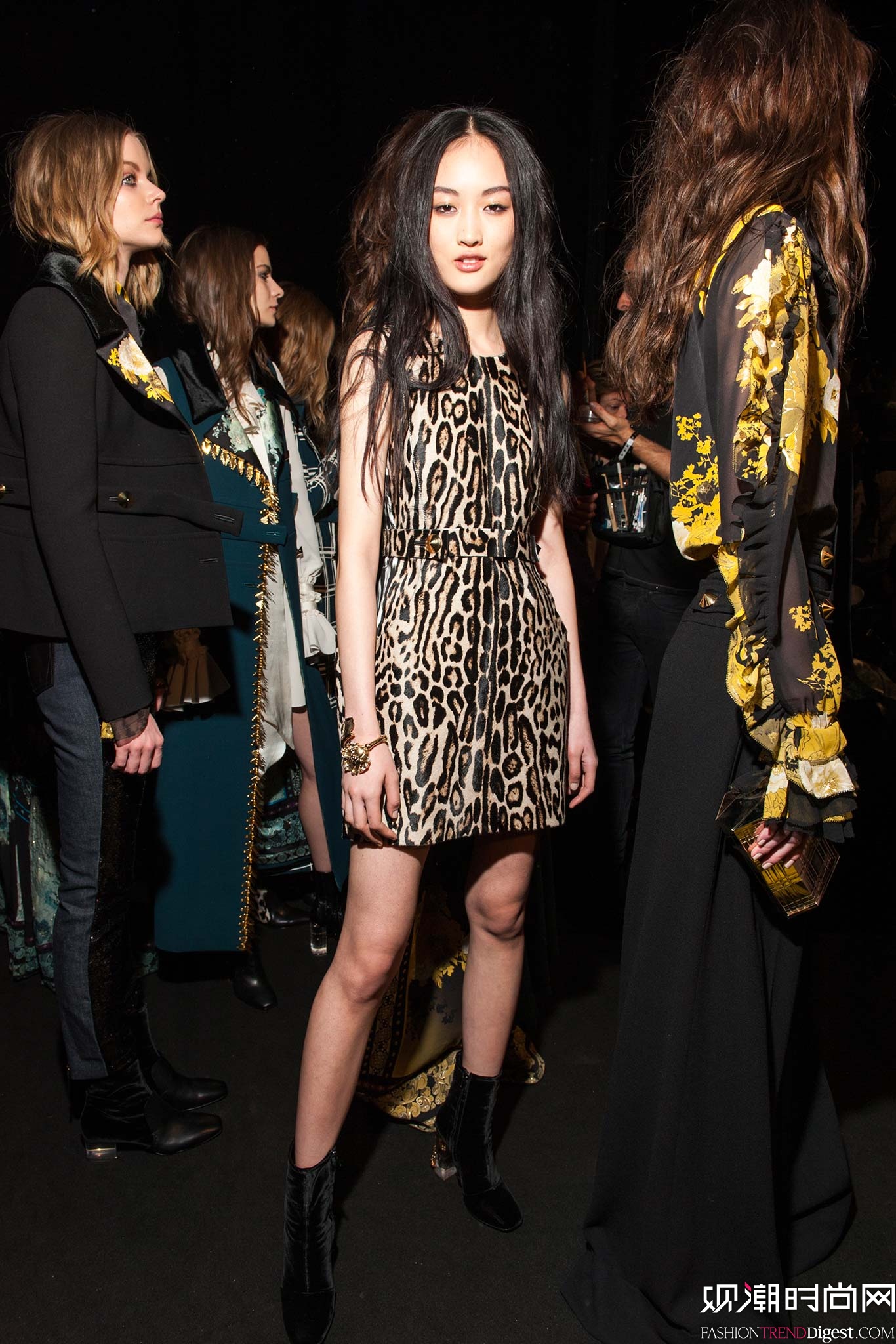 Roberto Cavalli 2015ﶬrbϵDƬ