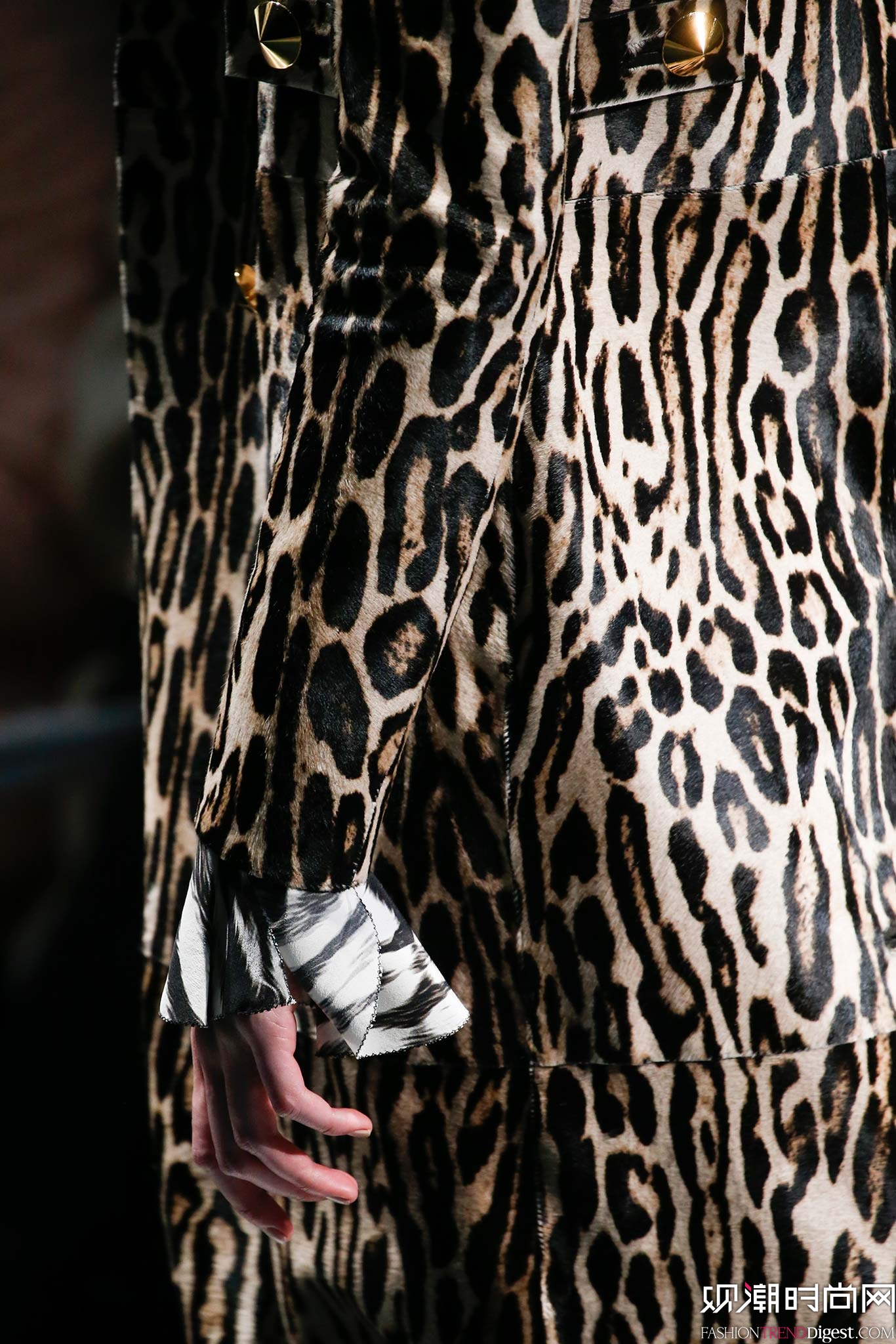 Roberto Cavalli 2015ﶬrbϵDƬ