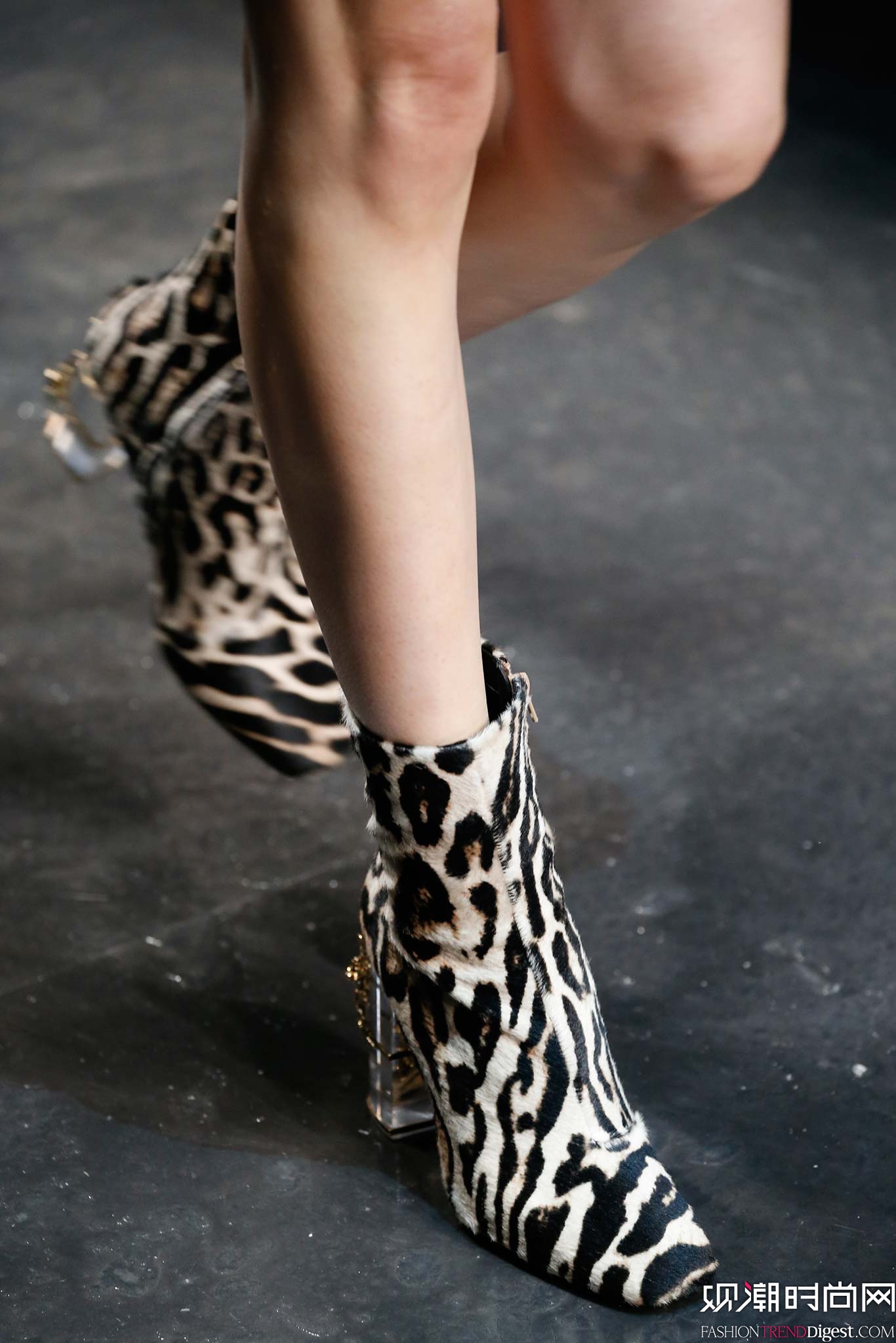 Roberto Cavalli 2015ﶬrbϵDƬ