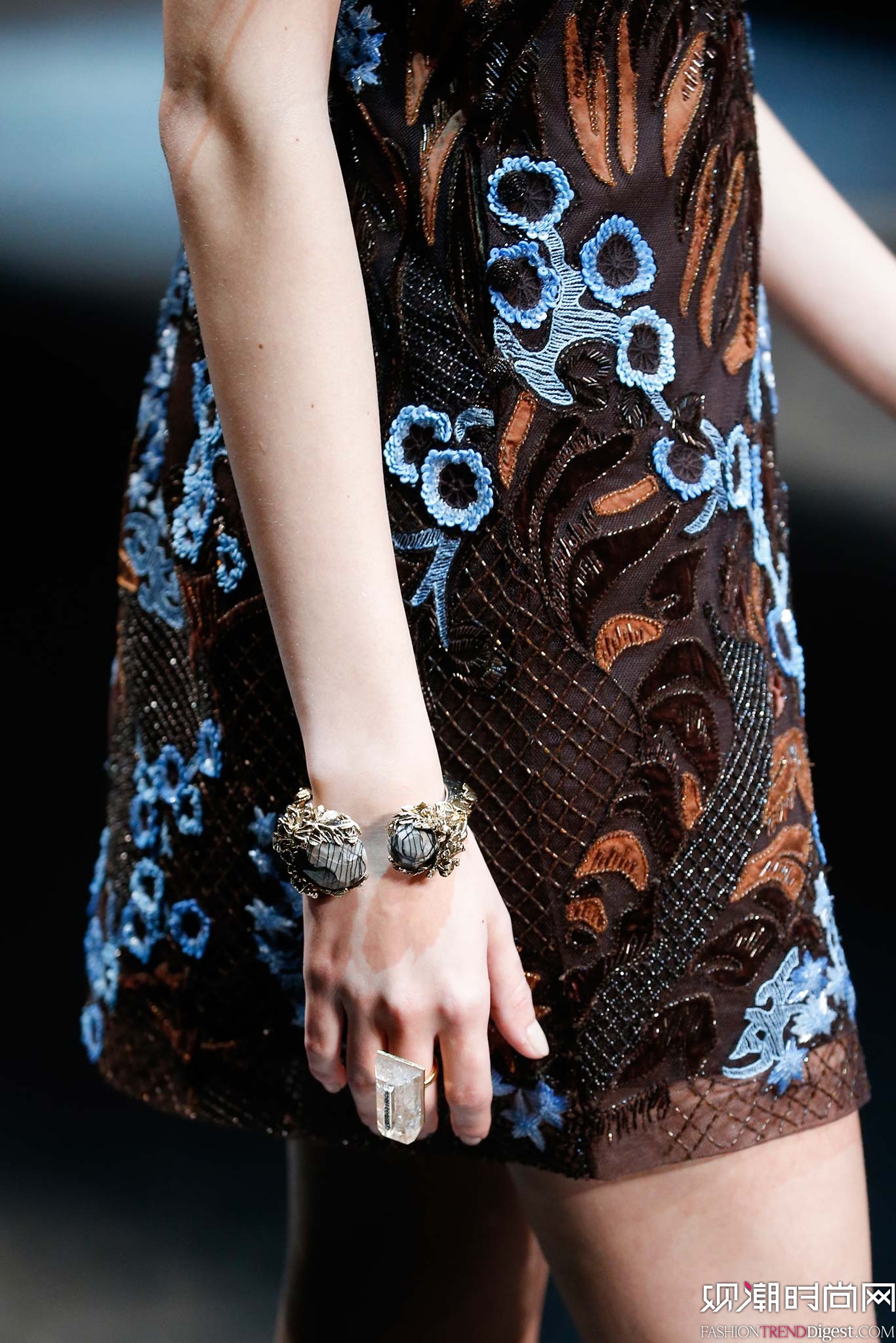 Roberto Cavalli 2015ﶬrbϵDƬ