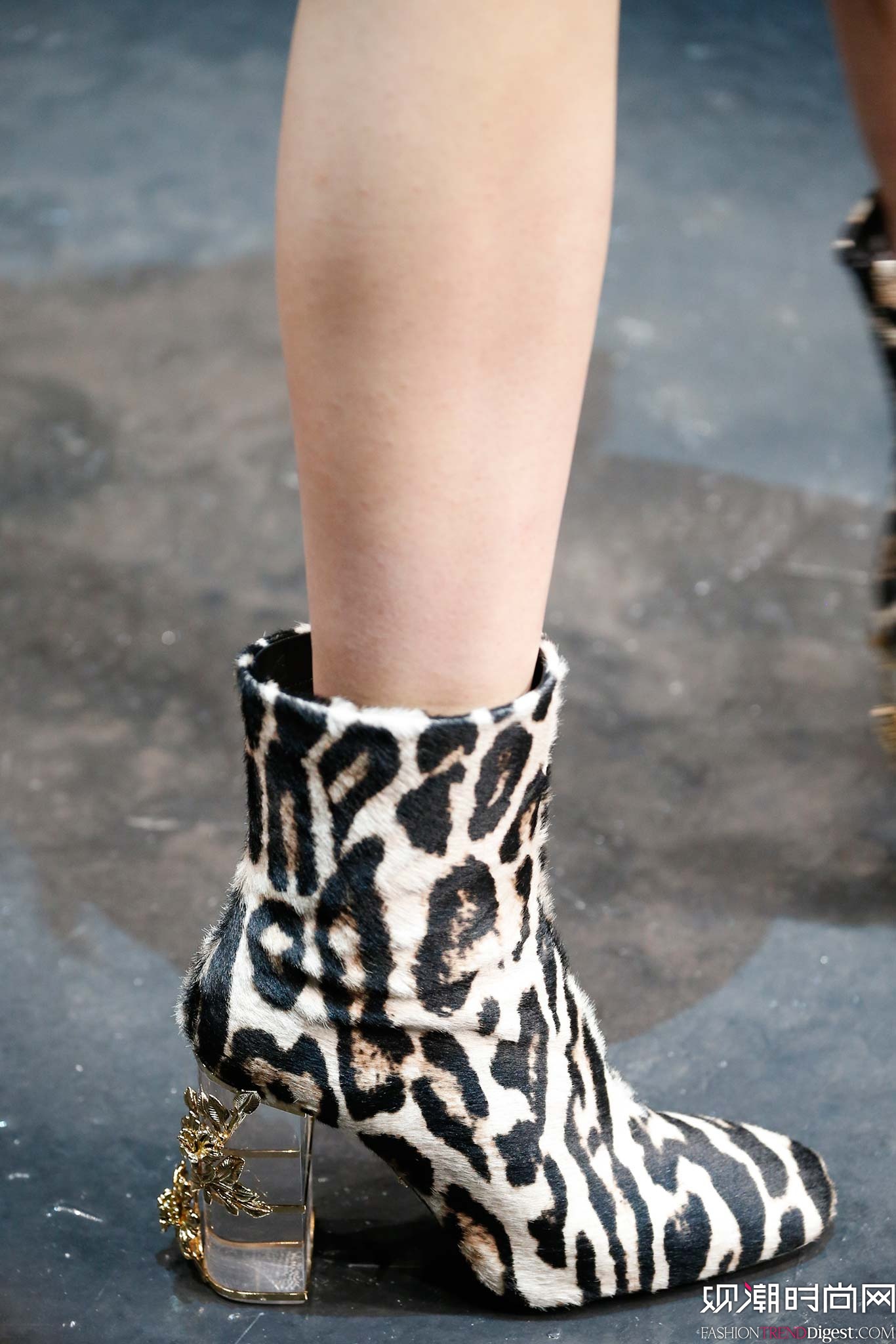 Roberto Cavalli 2015ﶬr(sh)bϵDƬ