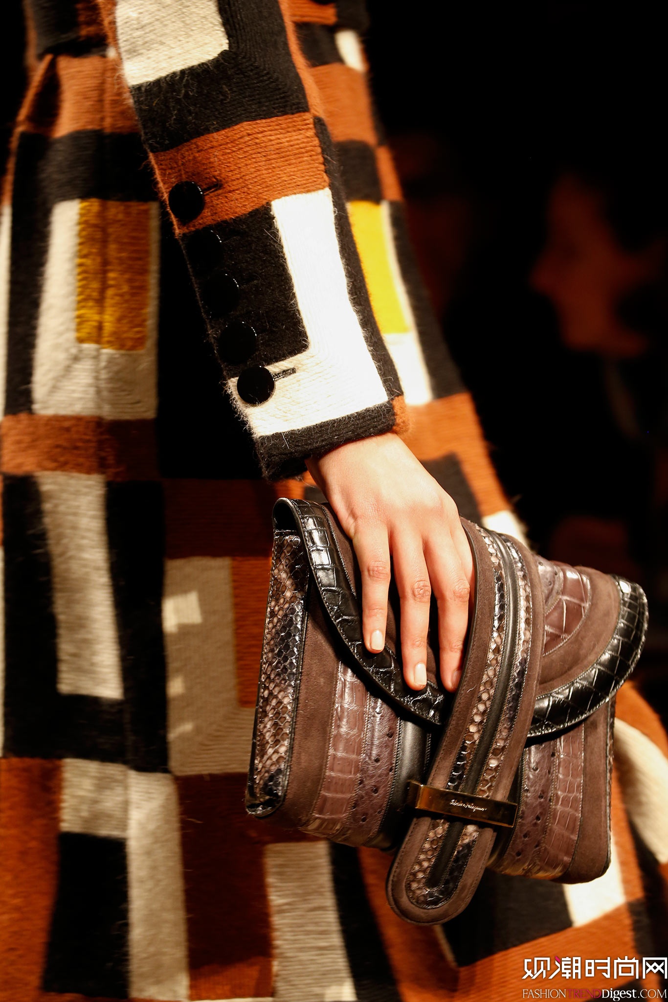Salvatore Ferragamo 2015�ﶬʱװ��ϵ���㳡����ͼƬ
