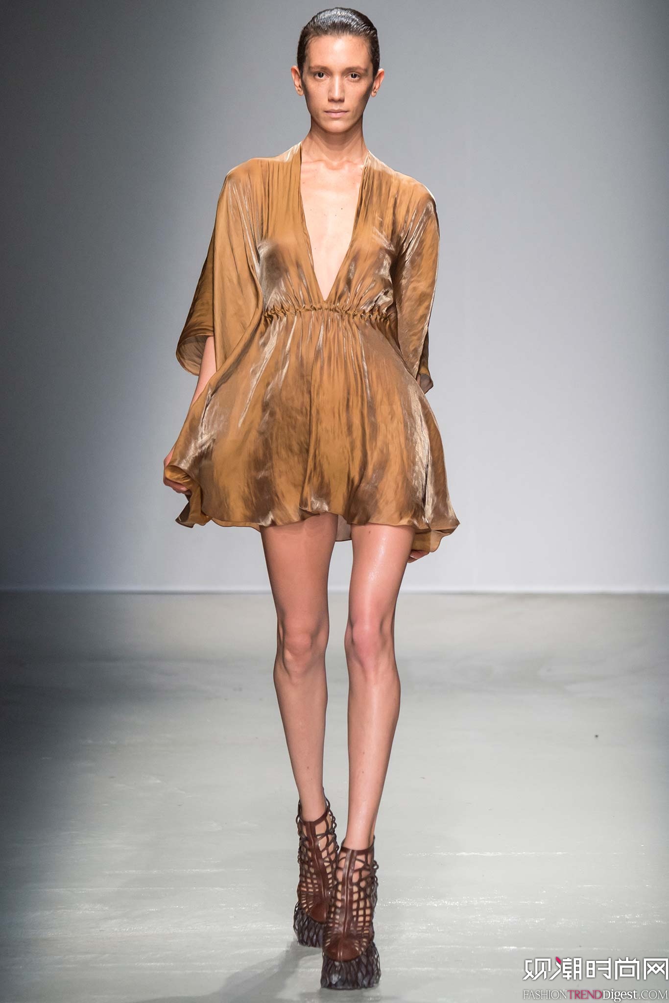 Iris van Herpen 2015ﶬʱװϵ㳡ͼƬ