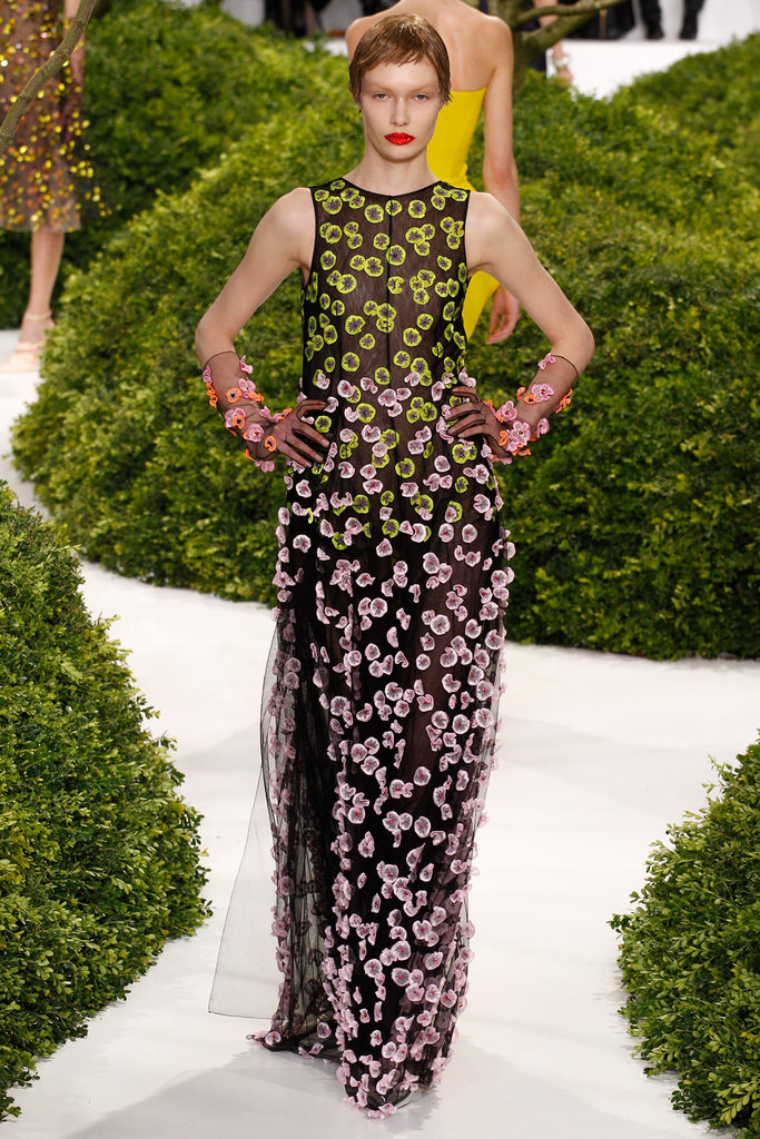 Christian Dior 2013ĸ߼ƸDƬ