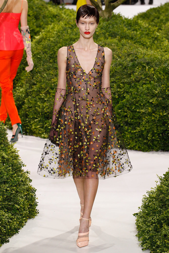 Christian Dior 2013ĸ߼ƸDƬ