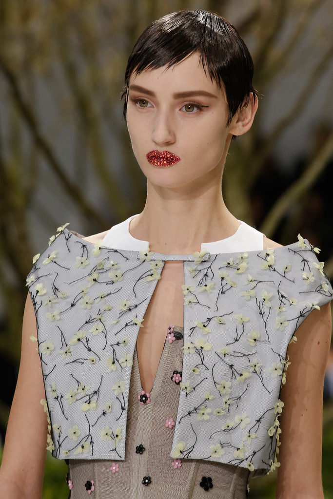 Christian Dior 2013ĸ߼ƸDƬ