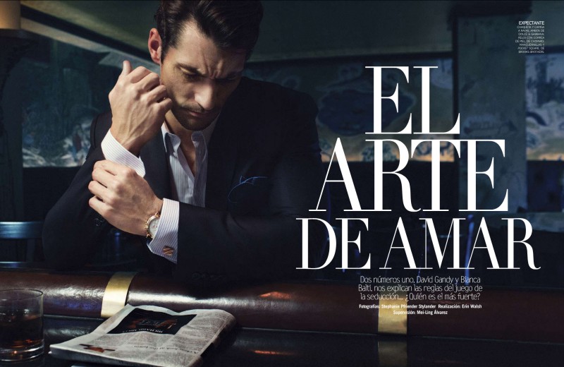 David Gandy&Bianca Balti桶Vogue2013ĿͼƬ