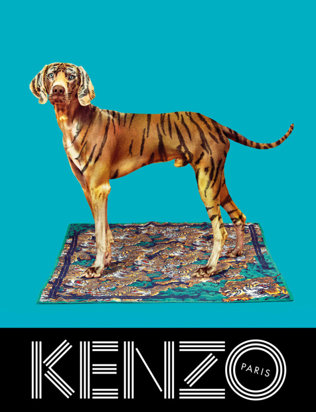 KENZO 2013ﶬVDƬ