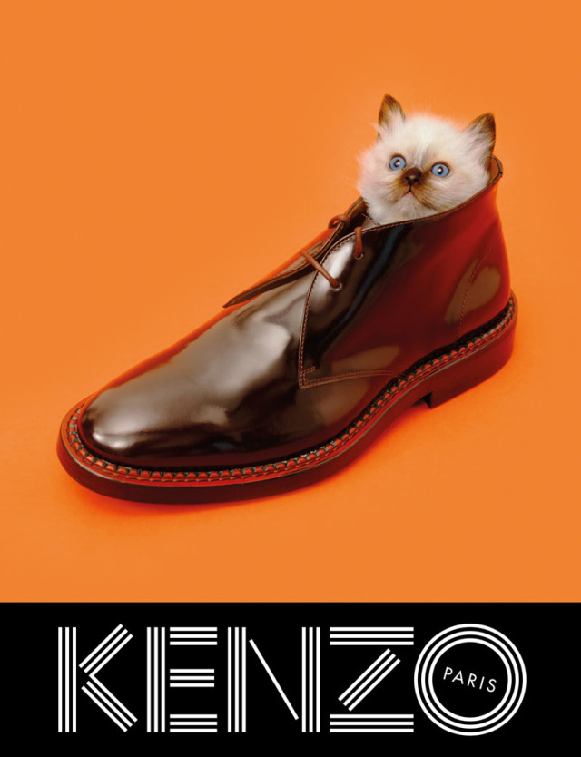 KENZO 2013ﶬͼƬ