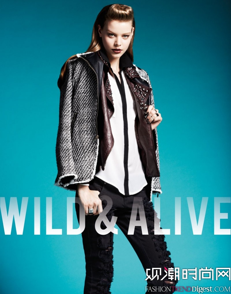 BARBARA FIALHO & CAROLINE LOOSENWILD & ALIVE 2013ﶬVDƬ