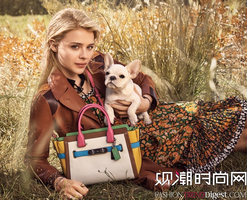 Coach 2016ϵйƬͼƬ