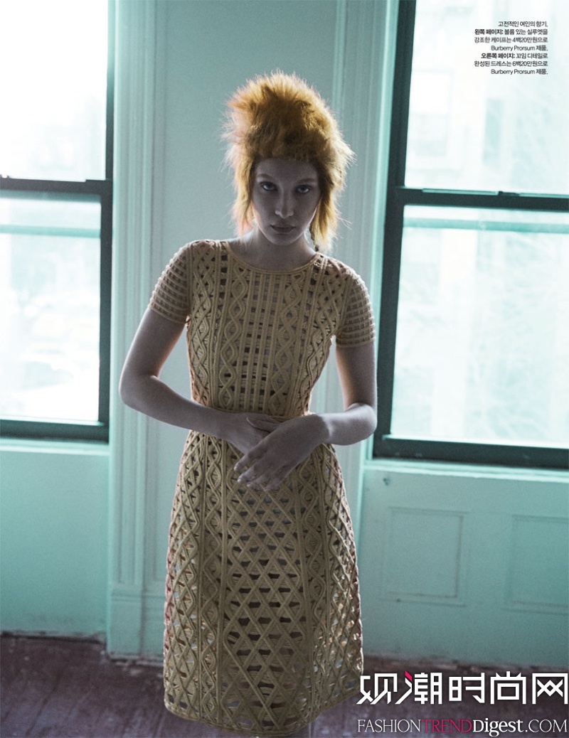 Bella Hadidn桶Harpers Bazaar20163¿DƬ
