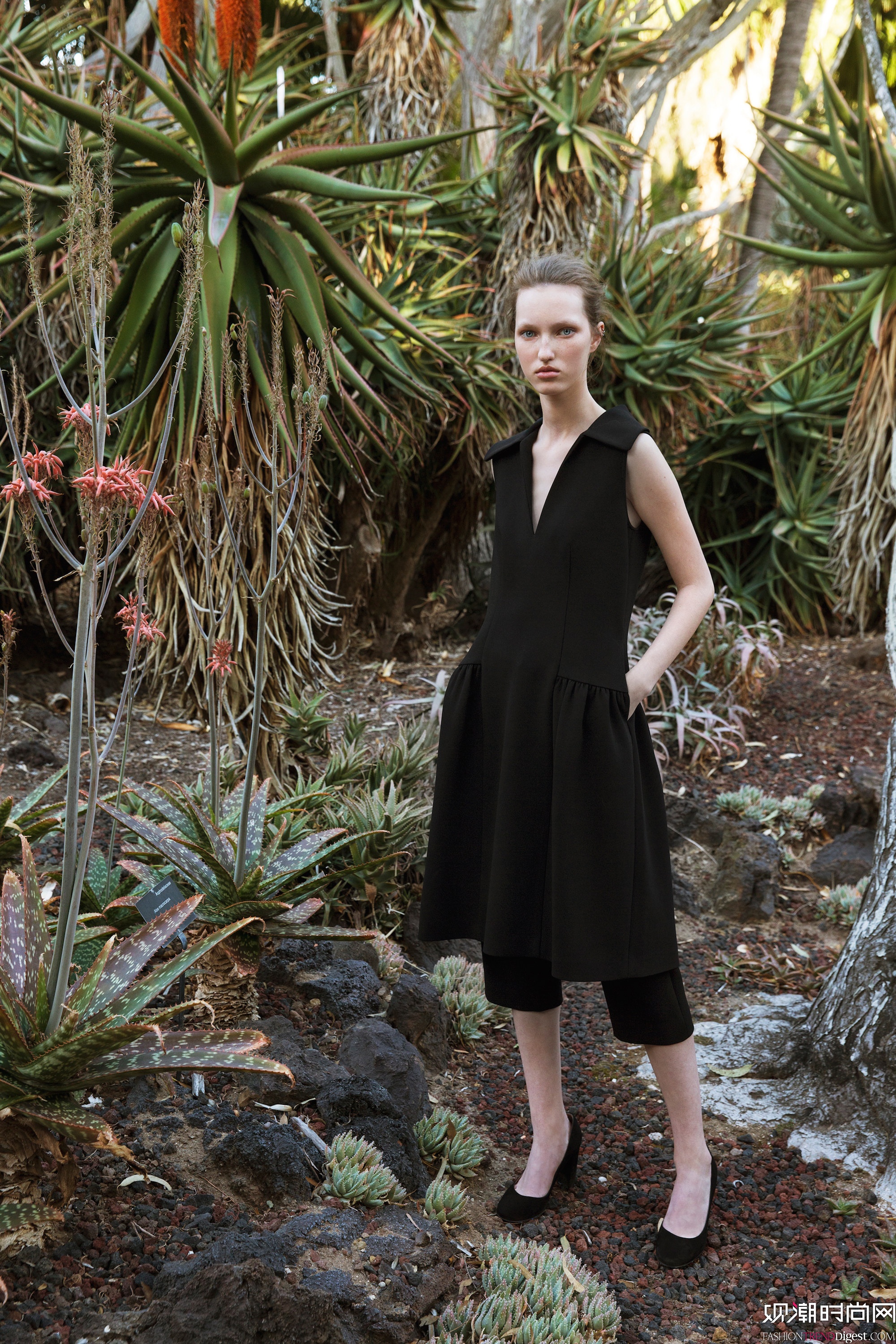 Co 2016ϵLookBookDƬ
