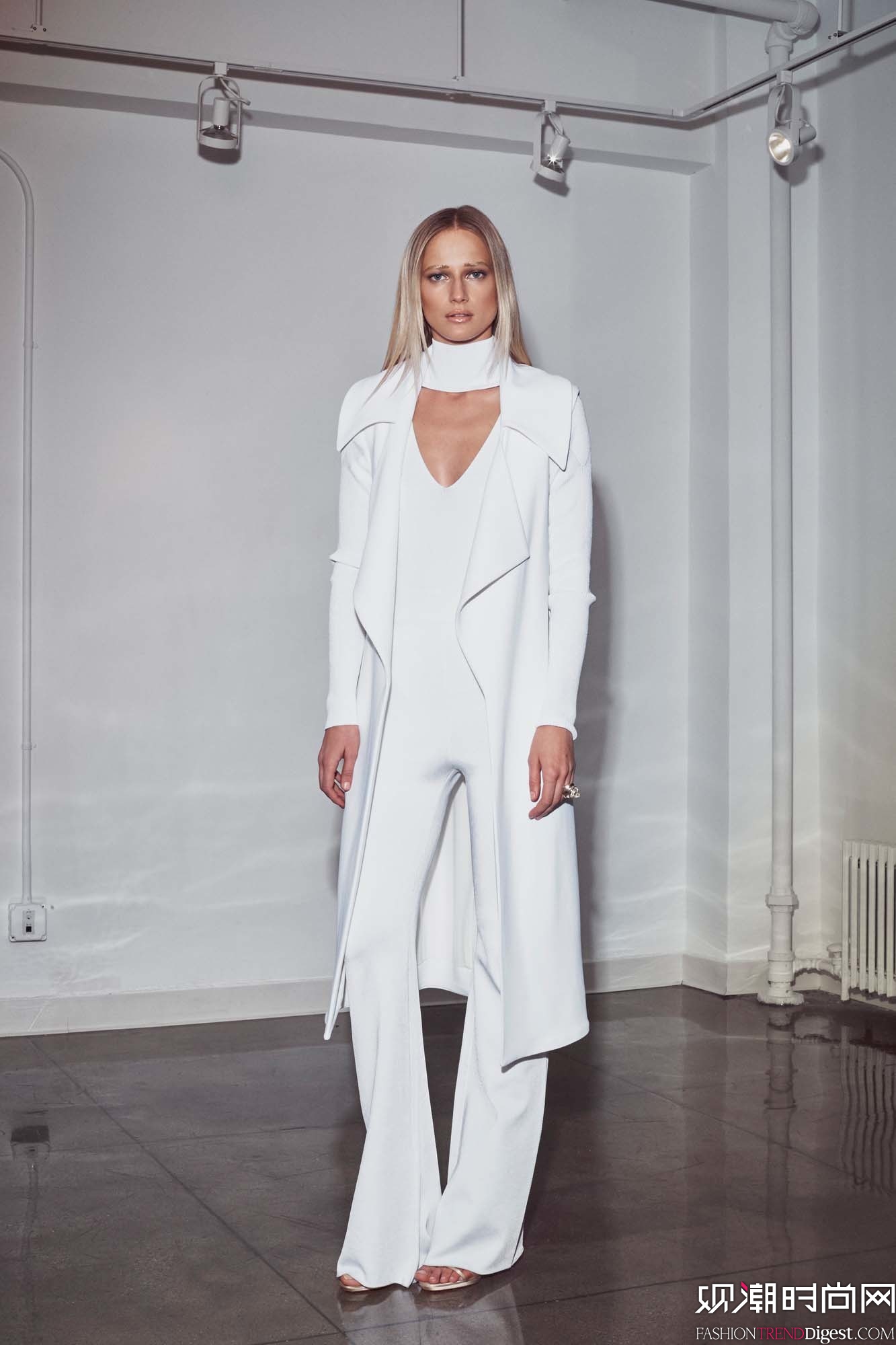 Cushnie et Ochs 2016LOOKBOOKͼƬ