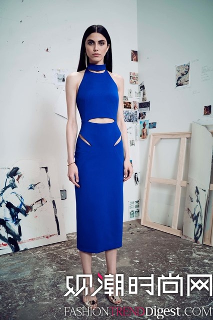 Cushnie et Ochs 2017紺ϵlookbookͼƬ