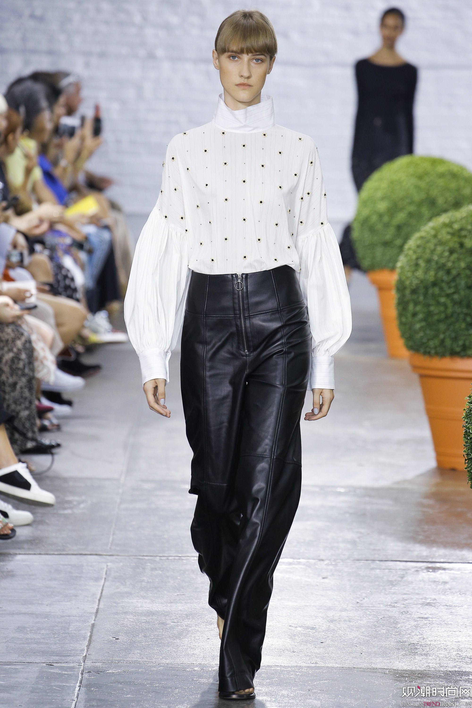 Tibi 2017ϵDƬ