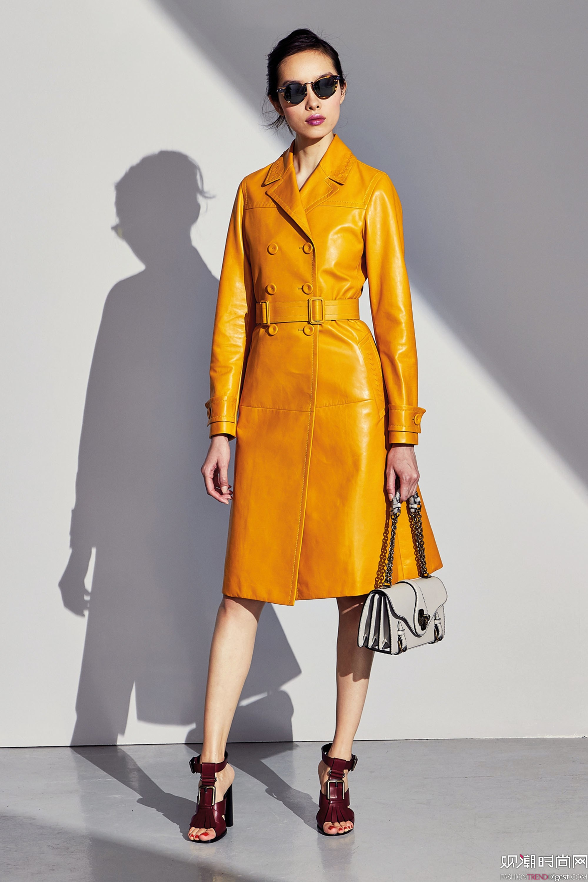 Bottega Veneta 2017ϵLookBookDƬ