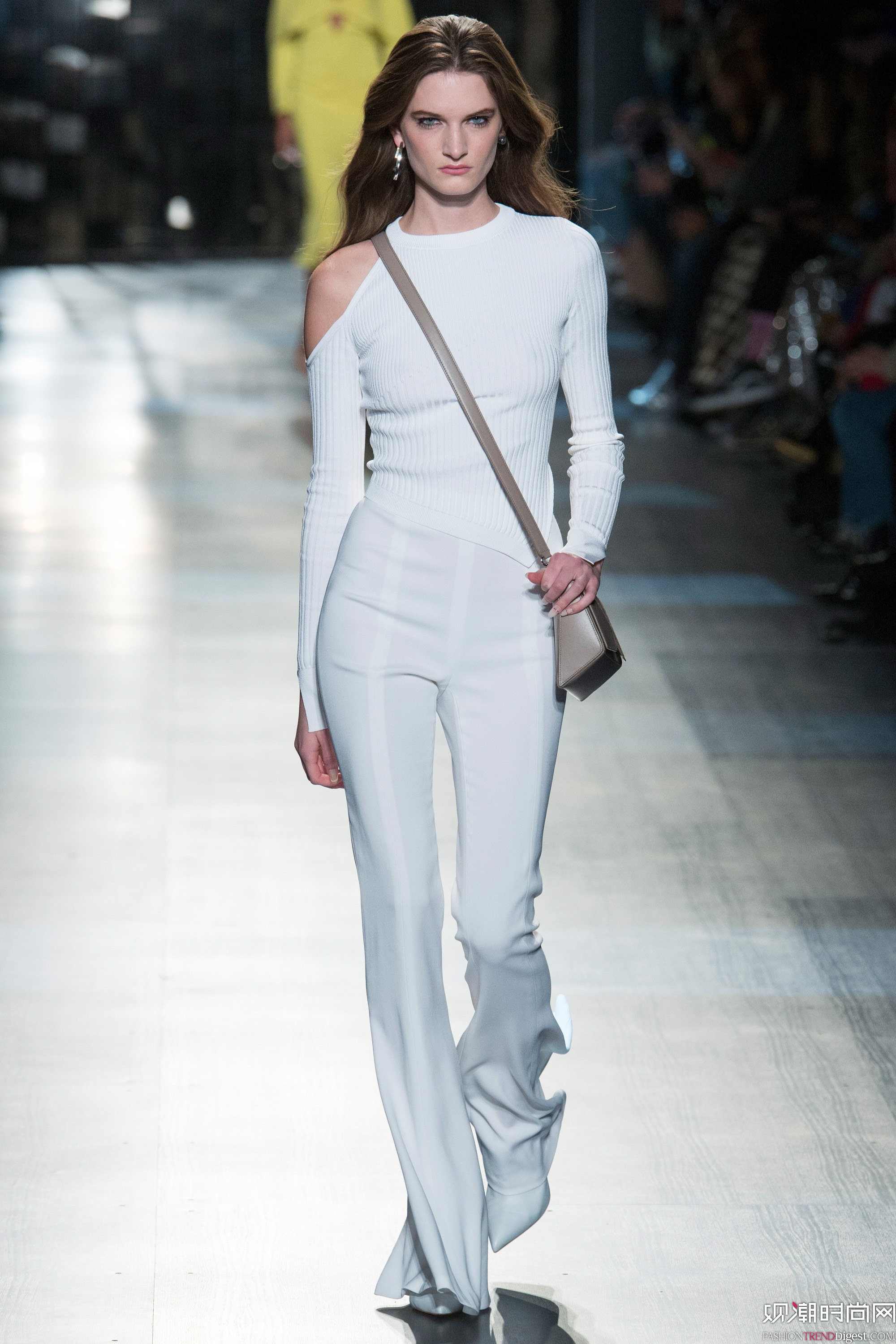 Cushnie et Ochs 2017ﶬϵDƬ