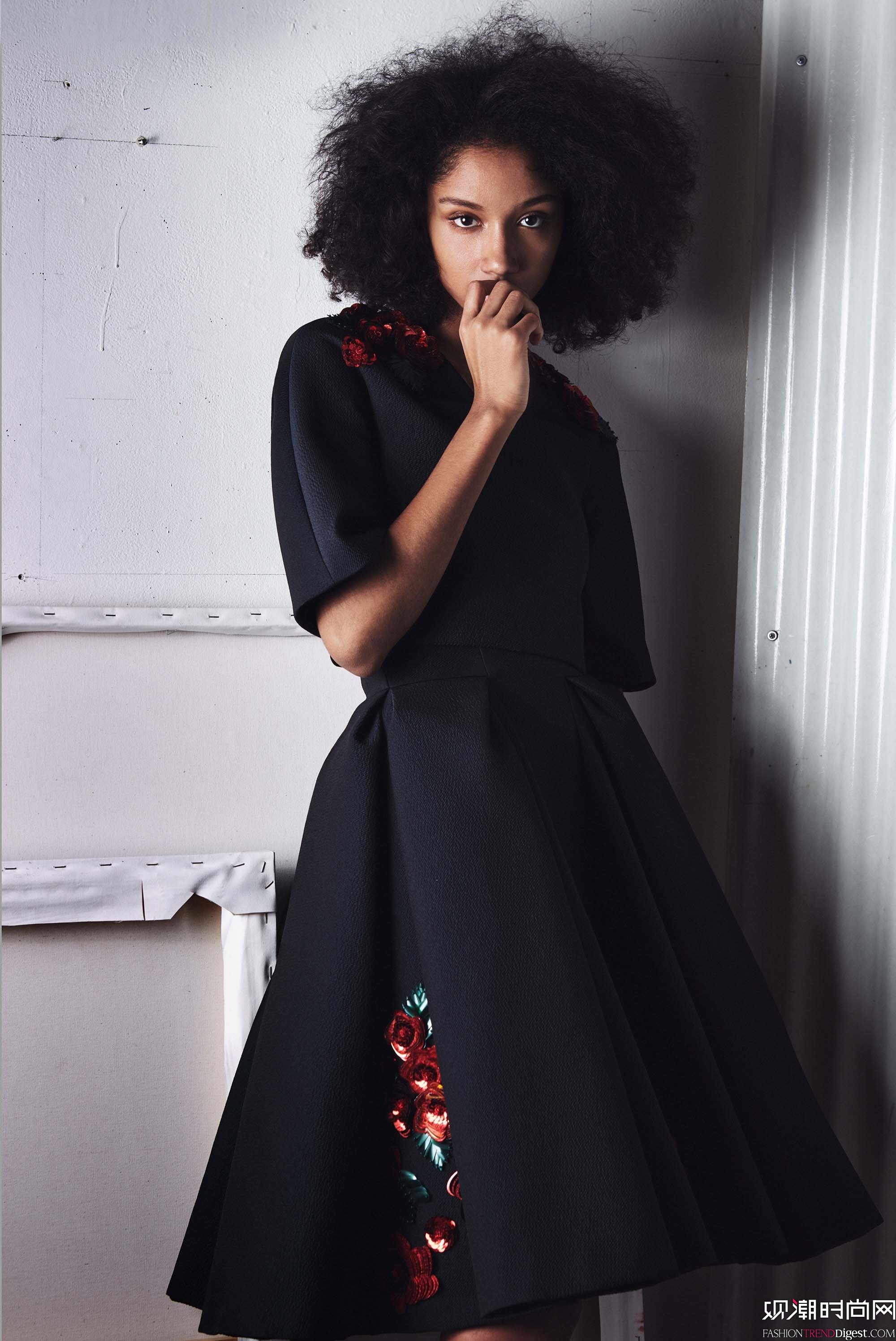 Zac Posen 2017ﶬϵLookBookͼƬ