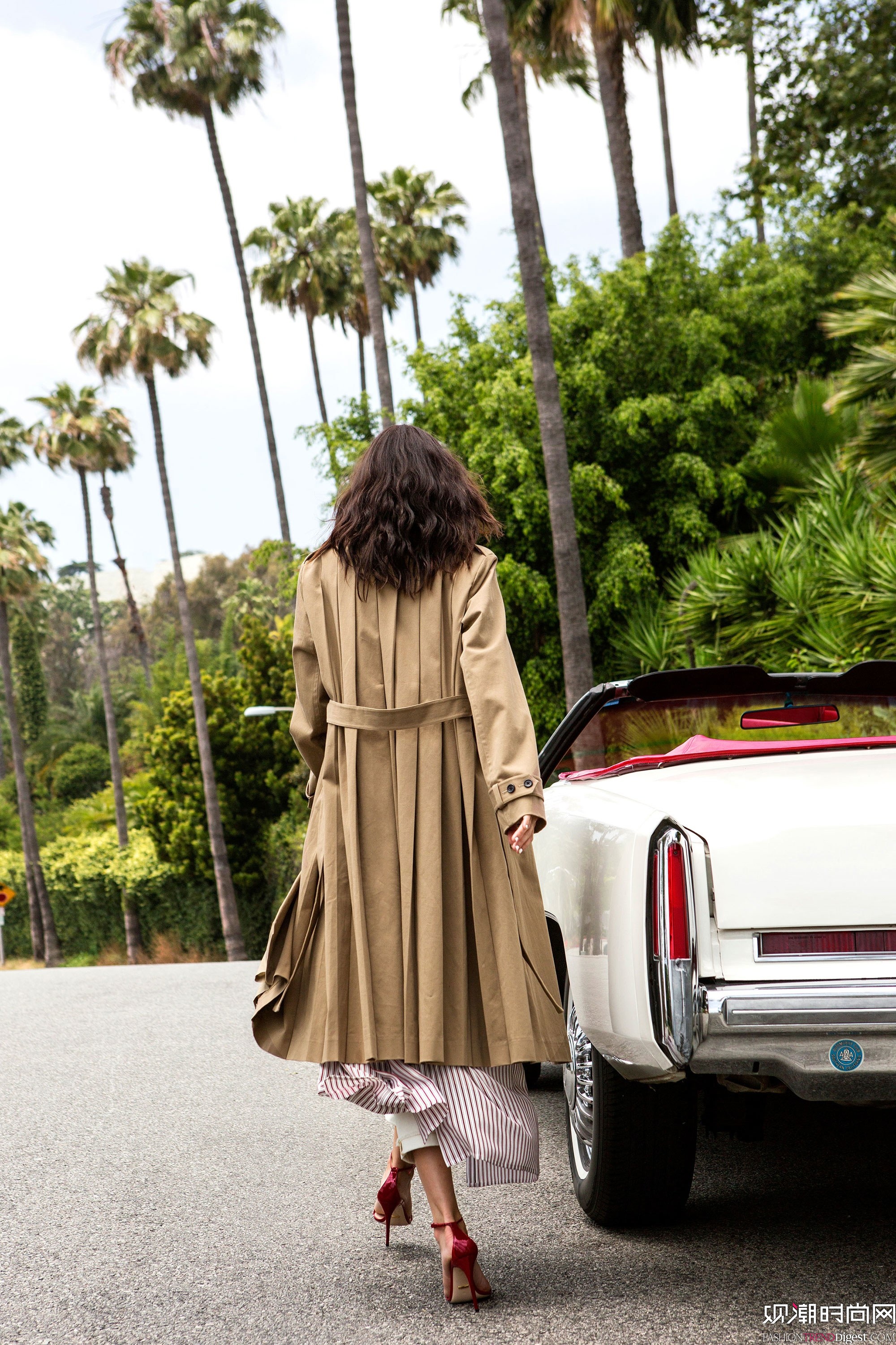 Robert Rodriguez 2018紺ϵLookBookDƬ