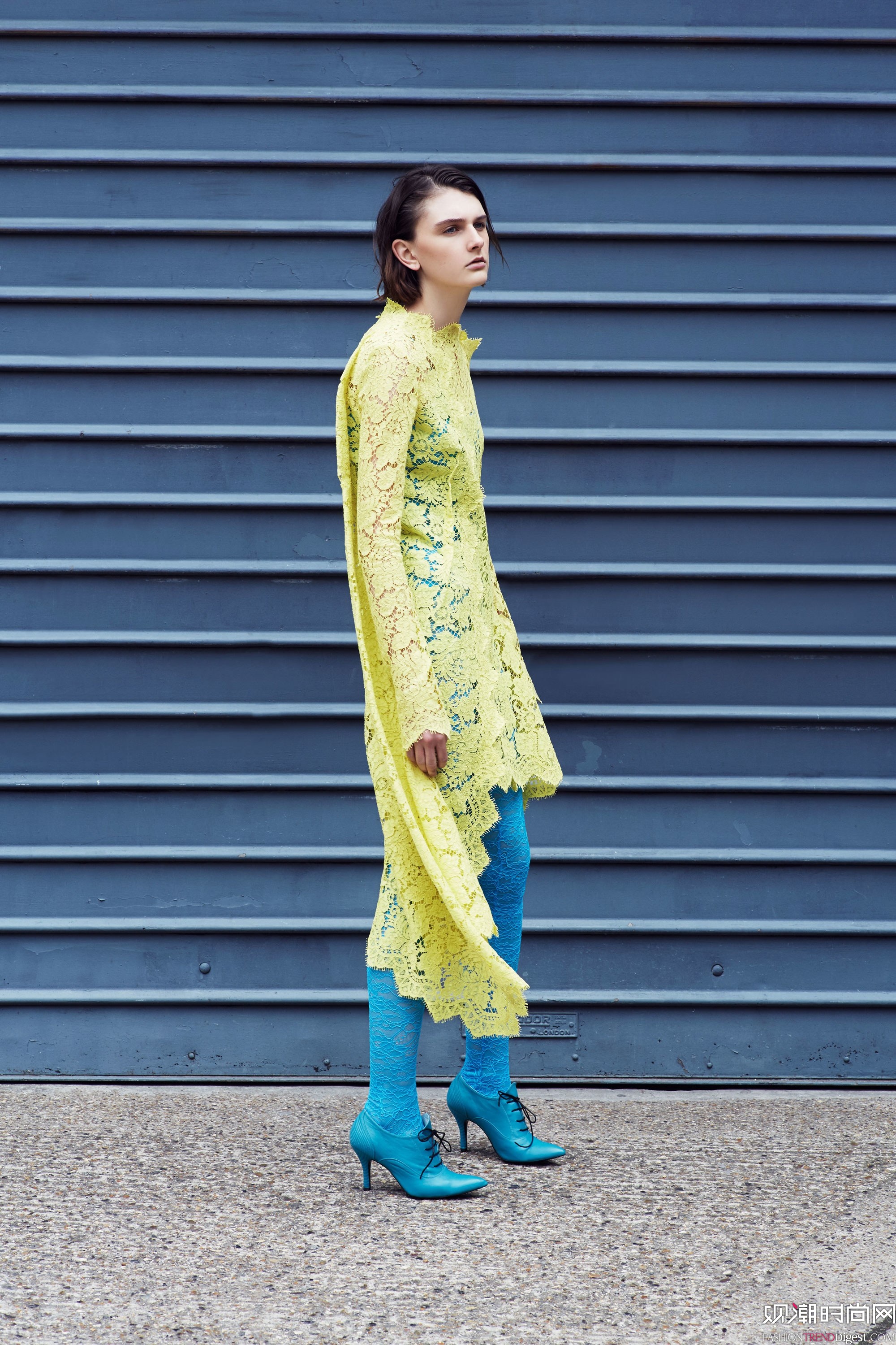 Preen by Thornton Bregazzi 2018紺ϵLookBookDƬ