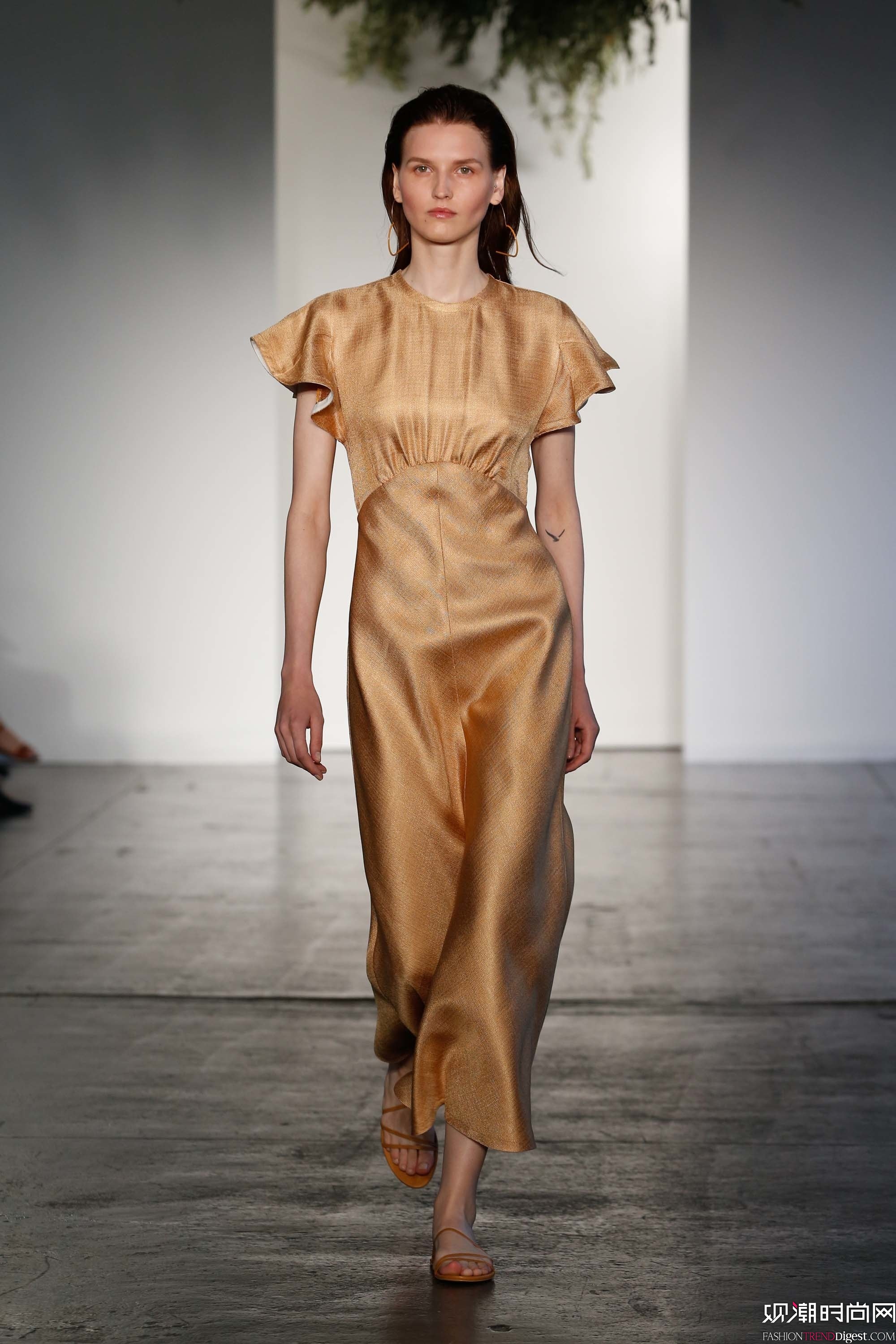 Zimmermann 2018紺ϵDƬ