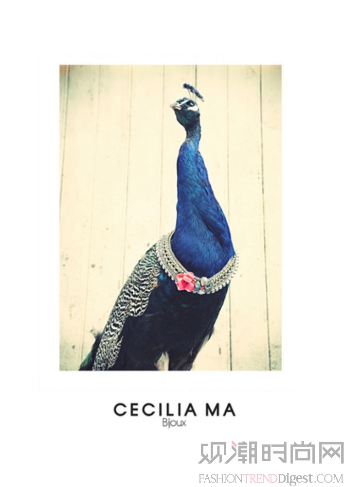 CECILIA MA bijoux TRIBAL 系列2014春夏lookbook