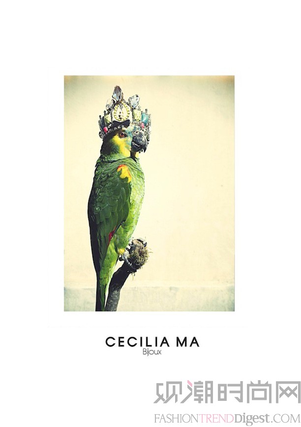 Cecilia Ma 2014ϵLOOKBOOKͼƬ