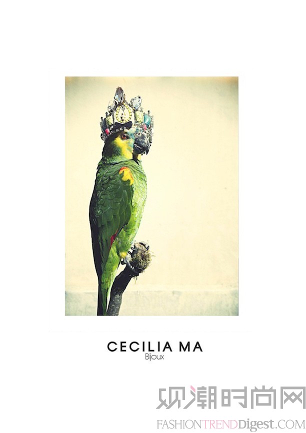 Cecilia Ma 2014ϵLOOKBOOKDƬ