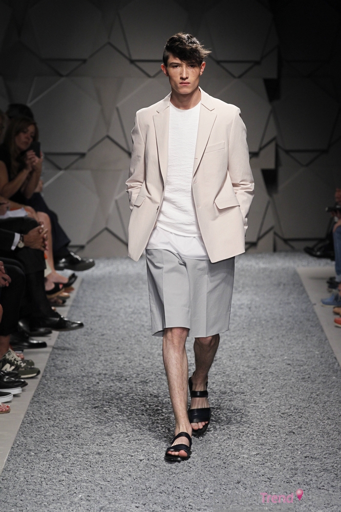 Z ZEGNA 2014괺װϵСװײɫͼƬ