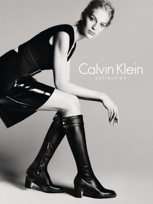 VANESSA AXENTE[ CALVIN KLEIN 2013ﶬVDƬ