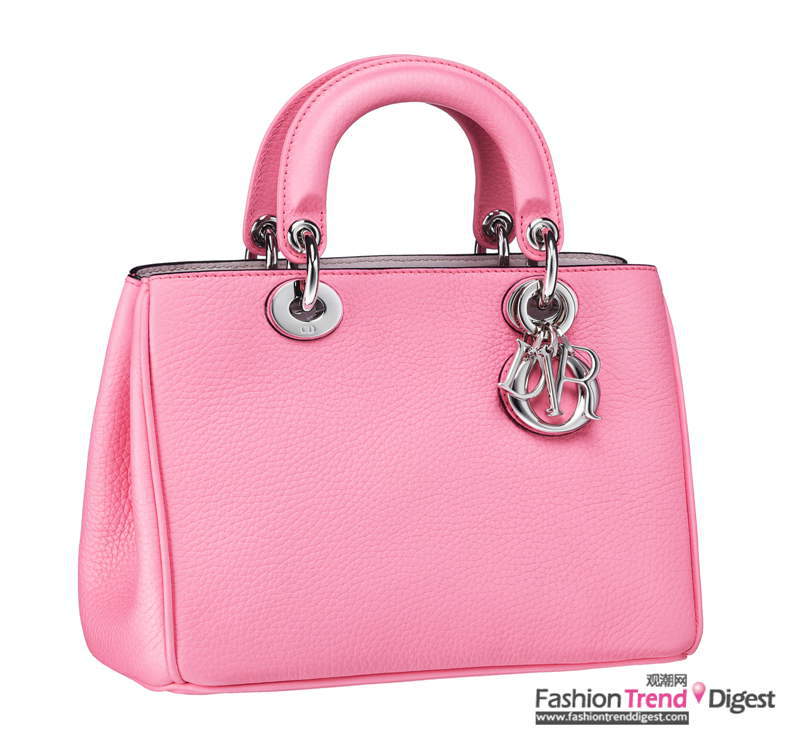 DIOR FW2013 ϵиDƬ