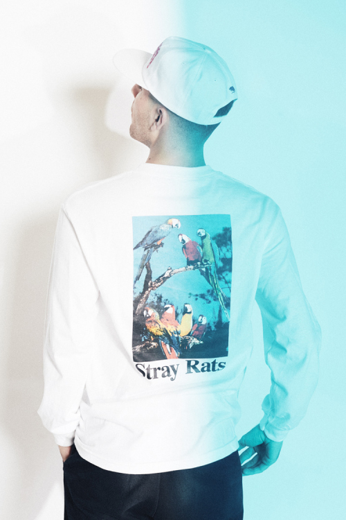 Stray Rats 2015ﶬϵLookbookͼƬ