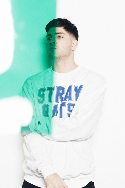 Stray Rats 2015ﶬϵLookbookͼƬ